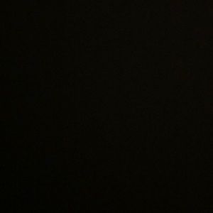 Meet your Posher, Evie